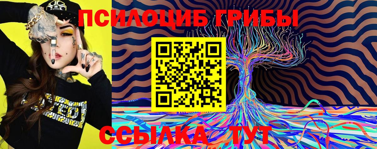 Псилоцибиновые грибы GOLDEN TEACHER  Вход с VPN  Галлюциногенные грибы Cubensis  Воркута 